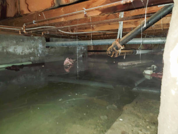 24/7 water damage repair in Maplewood, MO