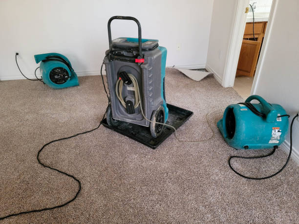  Maplewood, MO Water damage restoration Pros