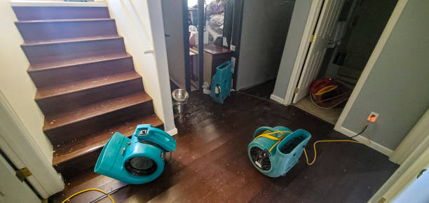 Best Residential water damage restoration  in Maplewood, MO
