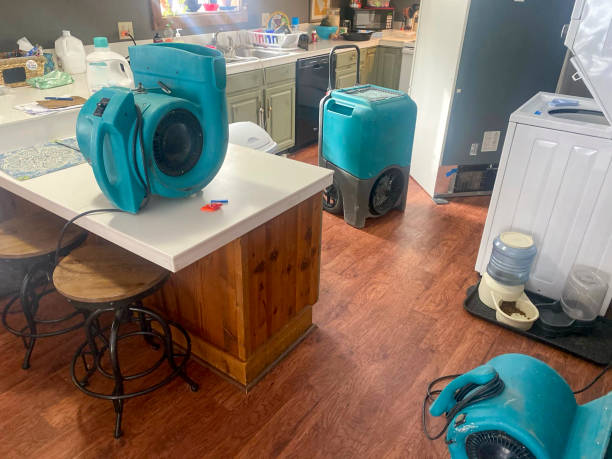 Reliable Maplewood, MO Water damage restoration Solutions