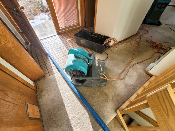Local water damage restoration in Maplewood, MO
