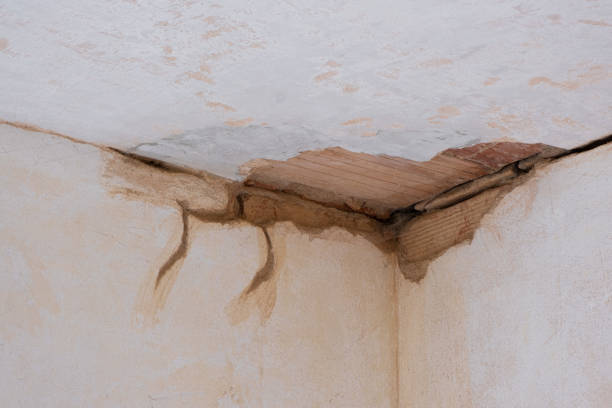 Best Basement water damage restoration  in Maplewood, MO