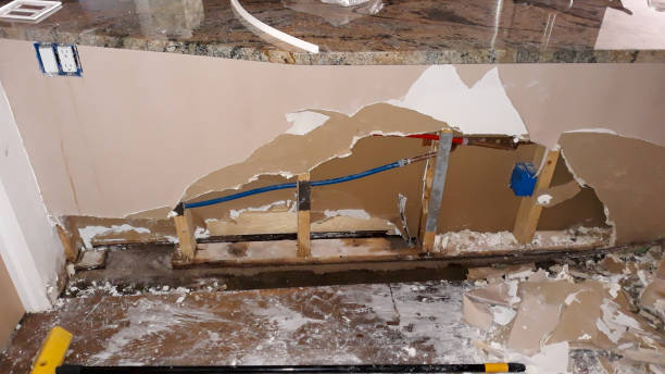 Best Fire Damage Restoration  in Maplewood, MO