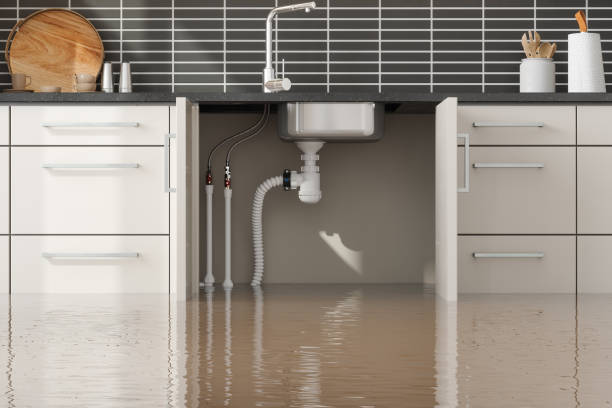 Best Carpet water damage restoration  in Maplewood, MO