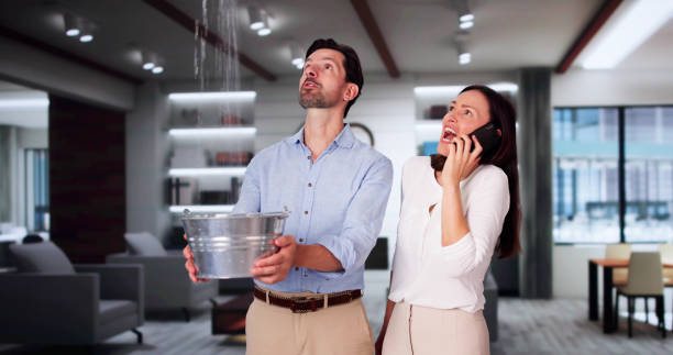 Best 24/7 water damage repair  in Maplewood, MO